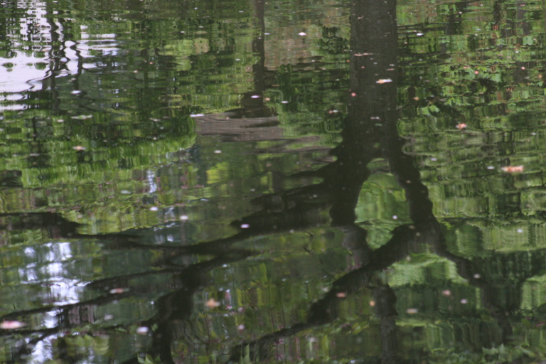 Nitobe Gardens 176