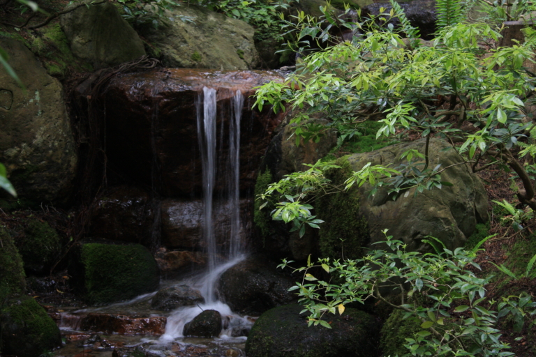 Nitobe Gardens 245